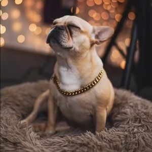 Meet your Posher, William